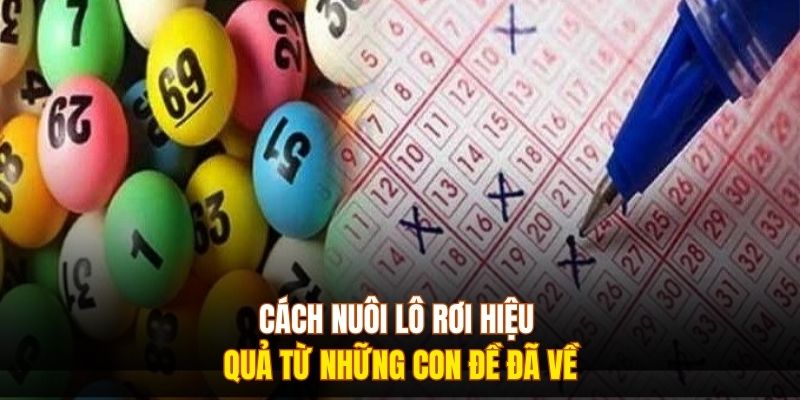 Cách nuôi lô rơi hiệu quả từ những con đề đã về