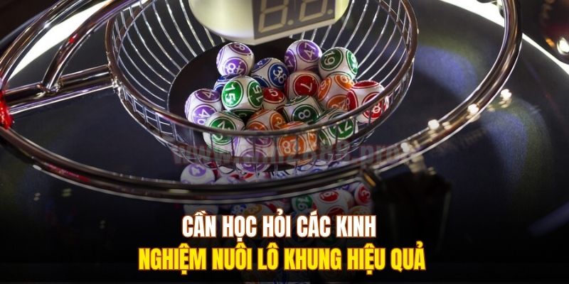 Cần học hỏi các kinh nghiệm nuôi lô khung hiệu quả 
