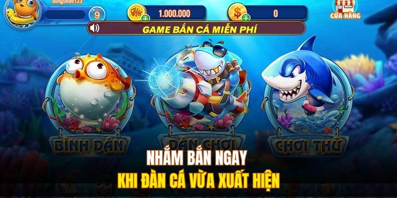 Nhắm bắn ngay khi đàn cá vừa xuất hiện 