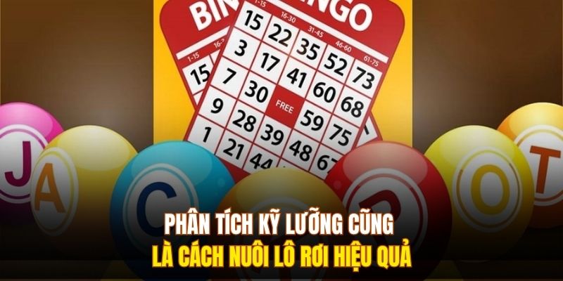 Phân tích kỹ lưỡng cũng là cách nuôi lô rơi hiệu quả