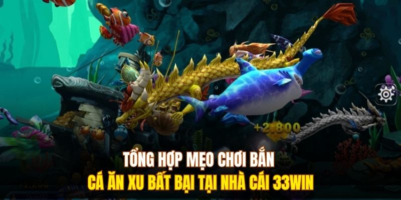 Tổng Hợp Mẹo Chơi Bắn Cá Ăn Xu Bất Bại Tại Nhà Cái 333WIN