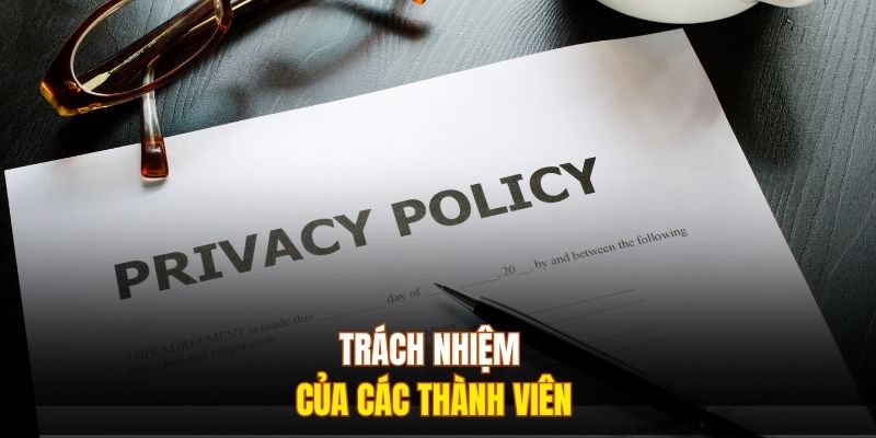 Trách nhiệm của các thành viên